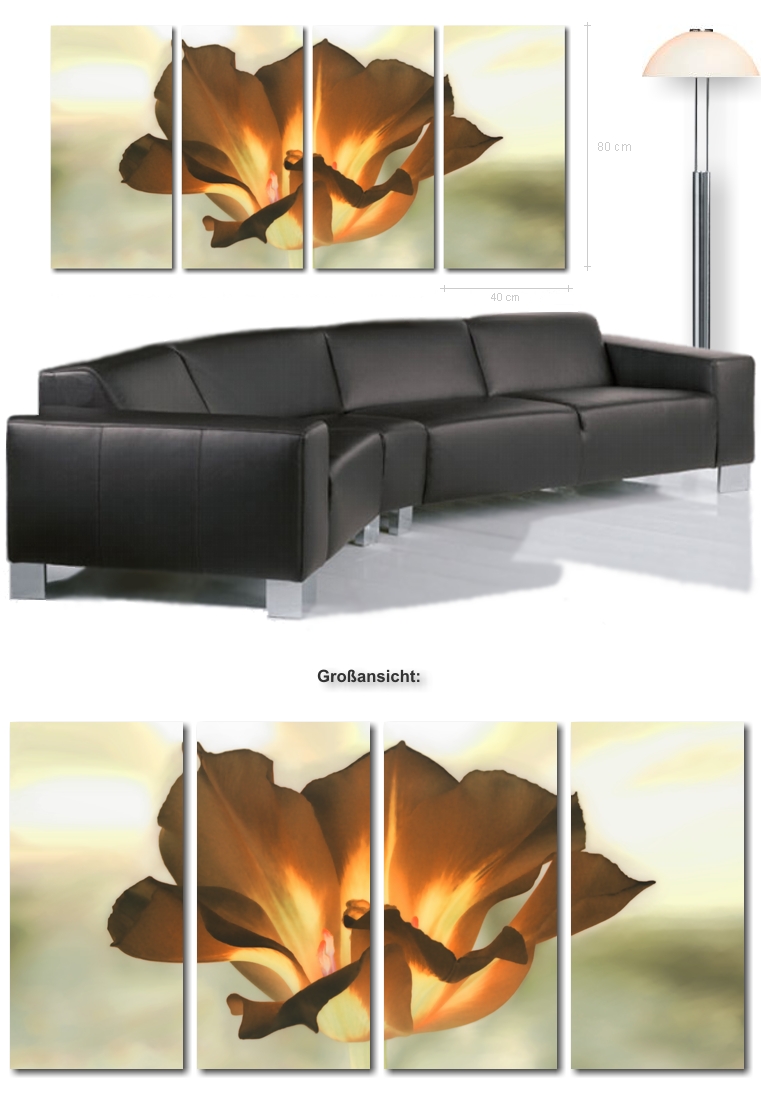 Tulpe auf Leinwand - Ultra moderne Leinwandbilder, Kunstdrucke, Tulpenbilder ...