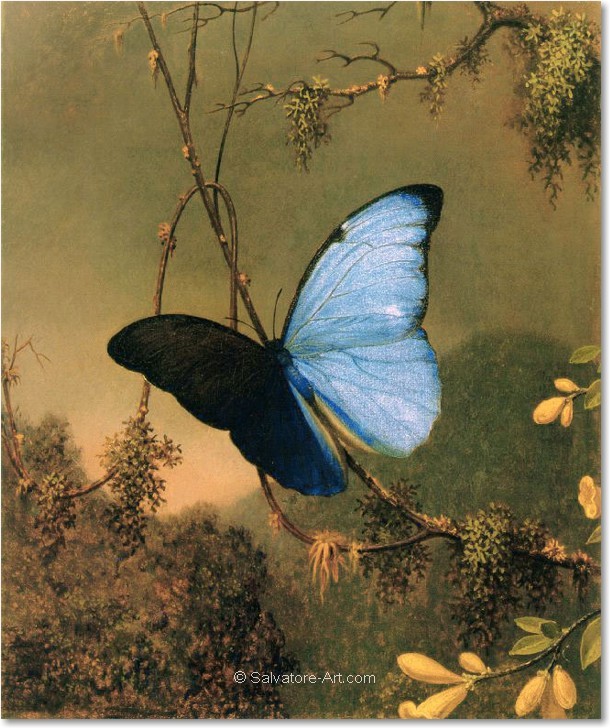 �lgem�lde Replikation