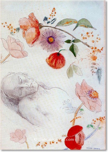 �lgem�lde Replikation