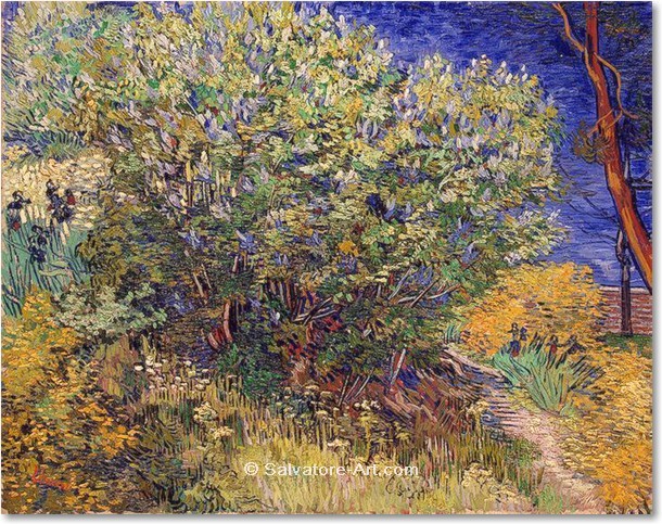 �lgem�lde Replikation