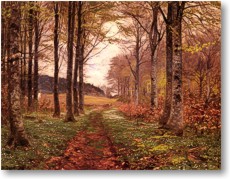 Fr Groansicht und weitere Details bitte hier klicken...