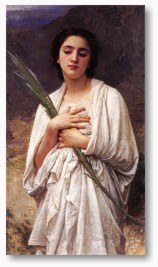 Fr Groansicht und weitere Details bitte hier klicken...