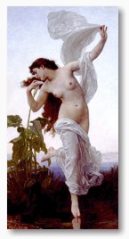 Fr Groansicht und weitere Details bitte hier klicken...