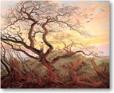 Fr Groansicht und weitere Details bitte hier klicken...