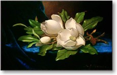 Fr Groansicht und weitere Details bitte hier klicken...