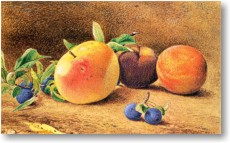 Fr Groansicht und weitere Details bitte hier klicken...