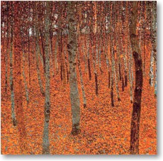 Fr Groansicht und weitere Details bitte hier klicken...