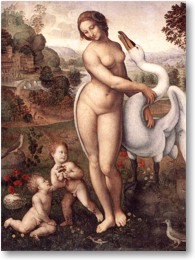 Fr Groansicht und weitere Details bitte hier klicken...