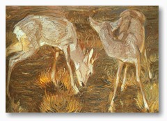 Fr Groansicht und weitere Details bitte hier klicken...