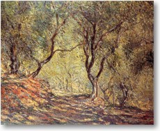 Fr Groansicht und weitere Details bitte hier klicken...