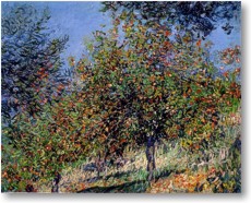 Fr Groansicht und weitere Details bitte hier klicken...