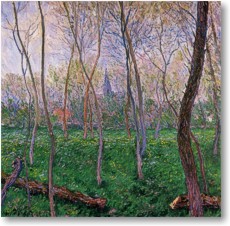 Fr Groansicht und weitere Details bitte hier klicken...