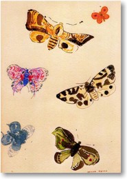 Fr Groansicht und weitere Details bitte hier klicken...