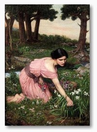 F�r Gro�ansicht und weitere Details bitte hier klicken...